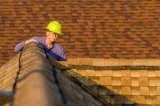 Best Roof Gutter Cleaning  in Danville, CA